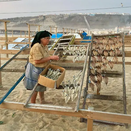 Silver Breezes 纳扎雷