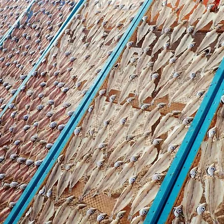 Silver Breezes 公寓