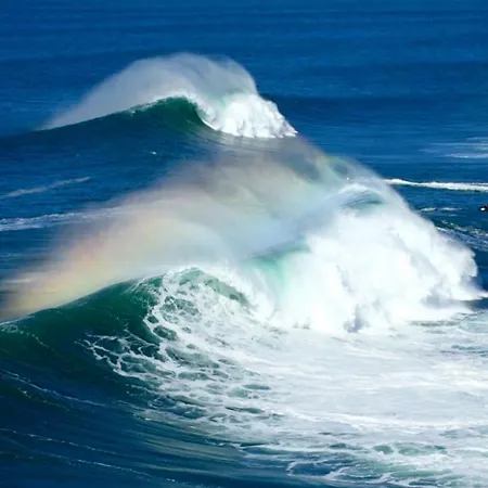 Silver Breezes 公寓 纳扎雷